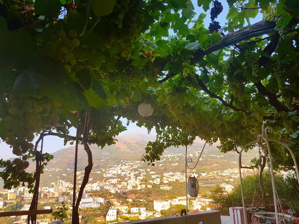 Dimora Del Conte Sorrento Coast Seaview Διαμέρισμα Vico Equense Εξωτερικό φωτογραφία